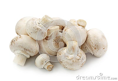 Champignon mushrooms Stock Photo