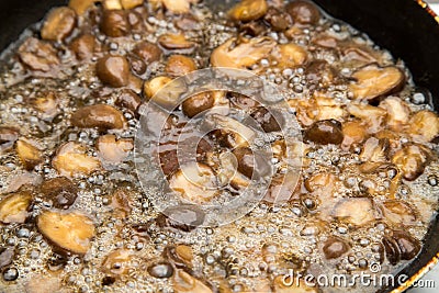 Champignon mushrooms fried in a pan Stock Photo