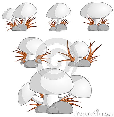 Champignon Mushrooms Stock Photo