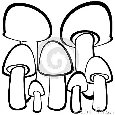 Champignon mushrooms isolated on white Vector Illustration