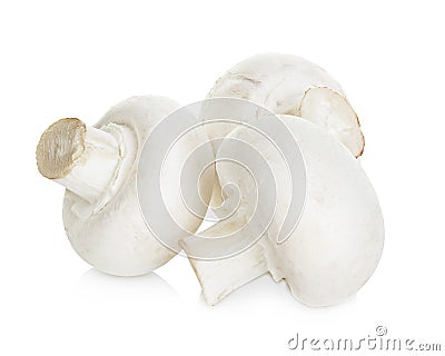 Champignon mushrooms isolated on white Stock Photo