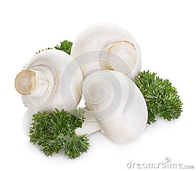 Champignon mushrooms isolated on white Stock Photo