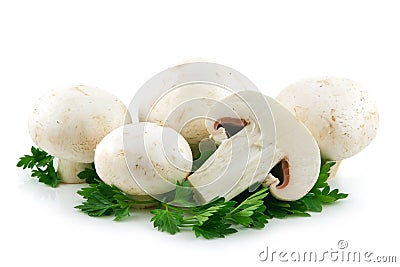 Champignon Mushrooms and Parsley Isolated Stock Photo