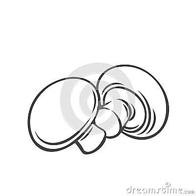 Champignon mushrooms vegetable outline icon Vector Illustration