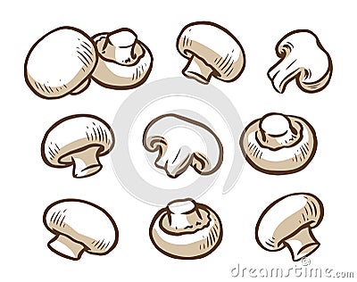 Champignons set. Collection icon champignon. Mushrooms vector illustration Vector Illustration