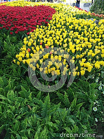 Chang mai flowers festival Stock Photo