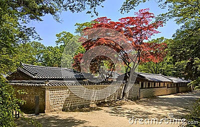 Changdeokgung palace Prospering Virtue Palace one of the Five Grand Palaces of the Joseon Dynasty. Seoul, Stock Photo