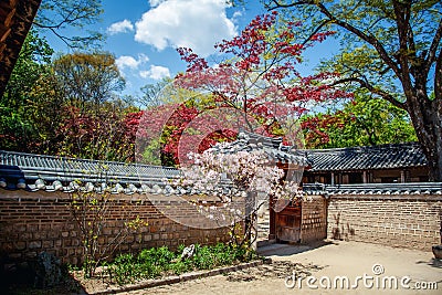 Changdeokgung, royal palace in Seoul, Secret garden, Spring time. popular destination for travel in Asia Stock Photo