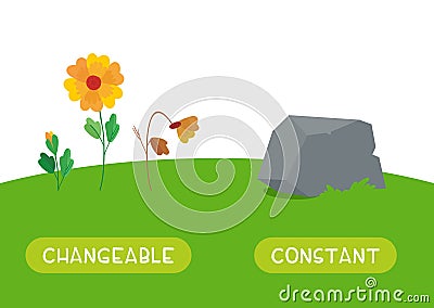 Changeable and constant antonyms word card vector template. Vector Illustration