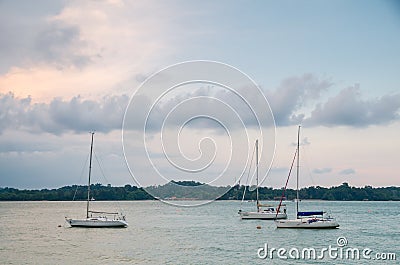 Changi Boardwalk Editorial Stock Photo