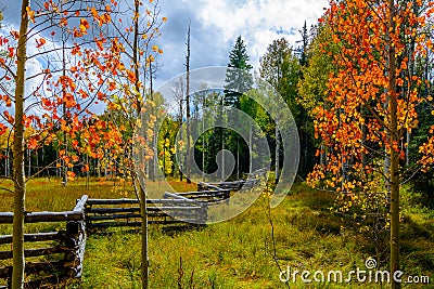 Changing of the Seasons Stock Photo