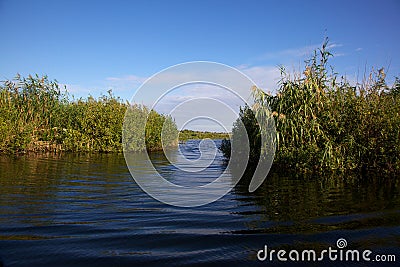 Channel in the Danube Delta, Romania Stock Photo