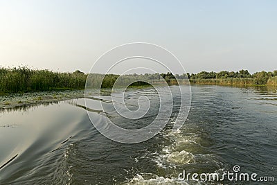 Channel landscape with waves in Danube Delta, Romania, on summer day Stock Photo