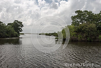 Channel surrounded by lush green trees and bushes in deep rural Louisiana on sunny day Stock Photo