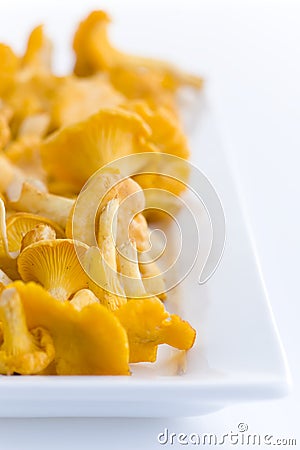 Chanterelles Stock Photo