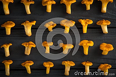 Raw yellow mushrooms chanterelles Stock Photo