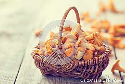 Chanterelles in rustic wicker basket. Retro stylized. Stock Photo