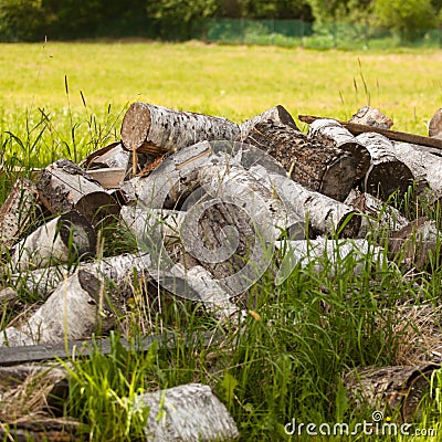 Chaotic pile of firewood logs lying Stock Photo