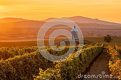 Chapel in sunset on south Morava. Stock Photo