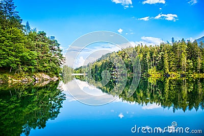 The Chapfensee in Mels Stock Photo