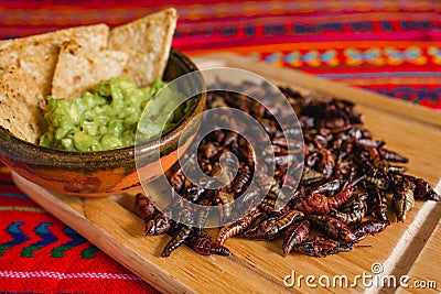 Chapulines, grasshoppers and guacamole snack traditional Mexican cuisine from Oaxaca mexico Stock Photo