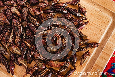 Chapulines, grasshoppers snack traditional Mexican cuisine from Oaxaca mexico Stock Photo