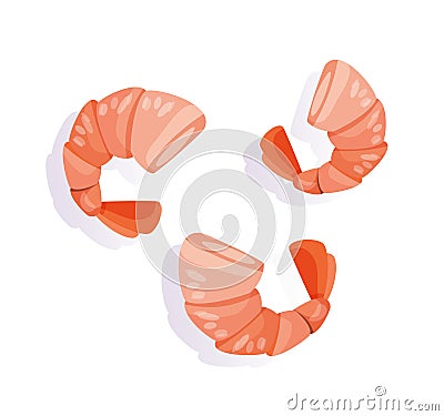 shrimp seafood isolated illustration vector illustration Vector Illustration