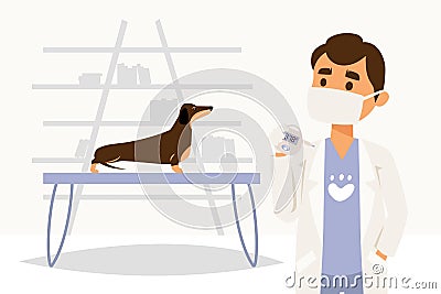 Character doctor physician, veterinarian, measure temperature of dog, pet, isolated on white, flat vector illustration. Vector Illustration