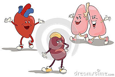 Character set internal organs 1 Vector Illustration