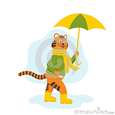 The character tiger cub walks through puddles in rubber boots with an umbrella Vector Illustration