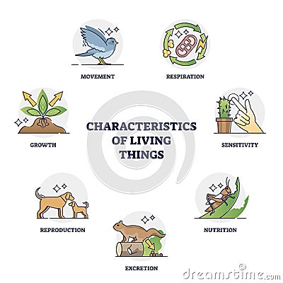 Characteristics of living things and their recognition groups outline diagram Vector Illustration
