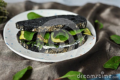 Charcoal black rye bread and roasted vegetable sandwich on a grey background Stock Photo