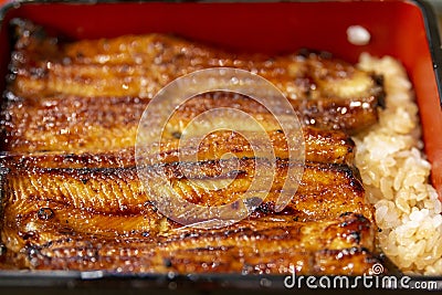 Charcoal grilled Unagi eel over rice or Japanese Unagi donburi Unadon rice recipe. Stock Photo