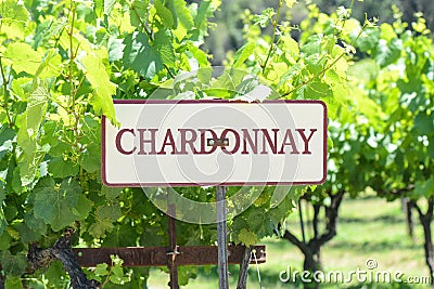 Chardonnay Grapes Sign Stock Photo