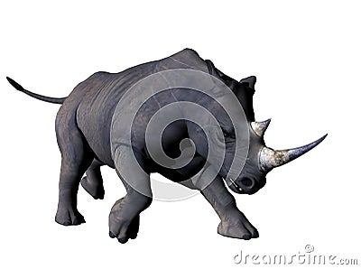 Charging Rhino Stock Photo