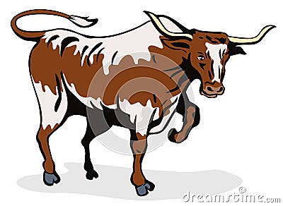 Charging texas longhorn bull Stock Photo