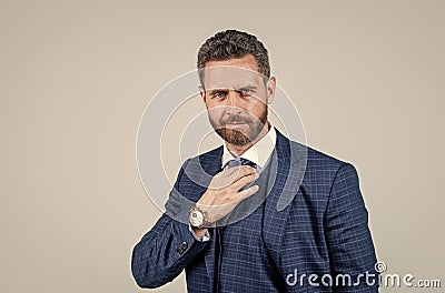 charismatic businessman man in formal suit fix tie, copy space, male beauty Stock Photo