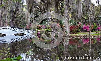 Charleston South Carolina Spring Garden Stock Photo