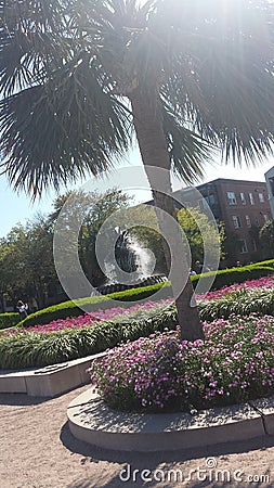 Charleston Waterfront Park SC Editorial Stock Photo