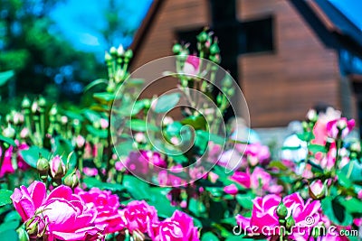 Charlotte, NC April 2019 - at billy graham public library on sunny day Stock Photo
