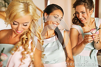 The charming bridesmaids Stock Photo