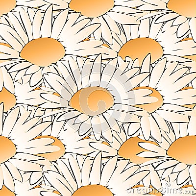 Charming chamomiles Vector Illustration