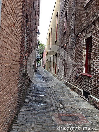 Charming Charleston cobblestone beautiful alley Editorial Stock Photo