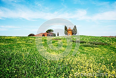 charming landscape with rape flowers and chapel of Madonna di Vitaleta in San Quirico d'Orcia (Val d Stock Photo