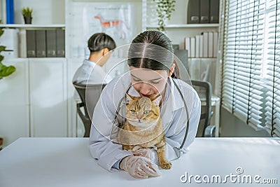 portrait of a beautiful asian female veterinarian with cat on diagnosis table at clinic Stock Photo