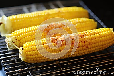 charred corn on the cob on a cooling rack Stock Photo