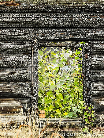 Charred house Stock Photo