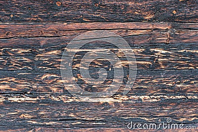 Charred Wood Texture Stock Photo