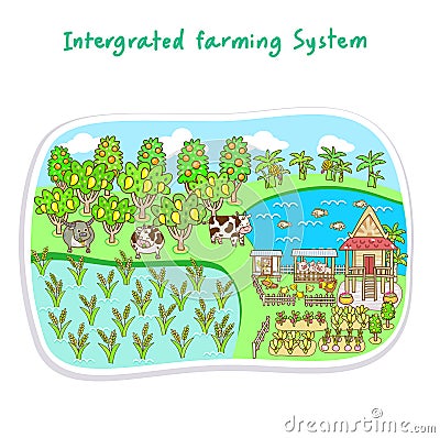 Chart for Integrated Farming System. Stock Photo