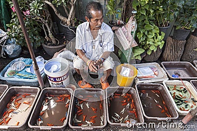 Chatachuk market in Bangkok Editorial Stock Photo